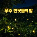 예체문화관 무주국민체육센터 다목적경기장 | 2026 무주반딧불축제 9월4~12일, 신비탐사 20일까지