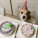 오간식영등포점 이미지