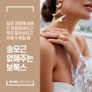 울산비비성형외과의원 네이버블로그