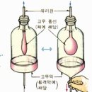 다옴요가