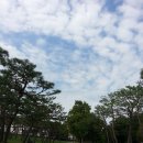 솔뫼목장 이미지