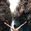 키친플로어 태양광발전소 | <세계여행 Day122 - 갈라파고스. 라스 그리에타스(Las Grietas), 또르뚜가 베이(Tortuga Bay), 찰스...