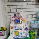 튼튼하나약국 이미지