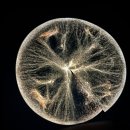 승리마루 명성도장 이미지