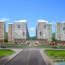 숲속의아침 이미지