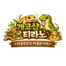 위례게코샵티라노 | [ 위례이색카페 ] 위례게코샵티라노에서 파충류카페 데이트 후기