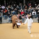 대한민국 관광거점도시 새로운 안동을 만나다 이미지