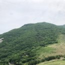 간절곶사슴농장 이미지