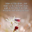 초림