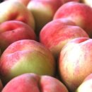 재민농장 이미지