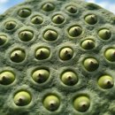 여문2로L 이미지