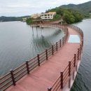 자연-탄생 이미지