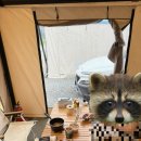 두물머리 화장실 | 솔직한 <리버위드 글램핑> 내돈내산 후기 - 서울 근교 두물머리 글램핑장: 개인 화장실/에어컨 O