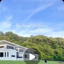 제이앤제이애견 이미지