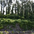 월평다라쿳당 이미지