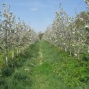 광현농장 이미지