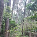 칠천량해전길 이미지