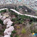 아름다운라인