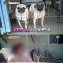 미정농장 이미지