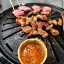 육오감