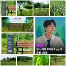 찬스센타 스타뉴스