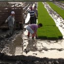 구산4리 이미지