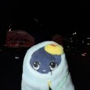 군산디절센터 | 고백은 타이밍이라고들하지만.. 같은 타이밍에 이러는 건 아닌 거 같습니다.