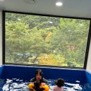 마린마트 | 포천 키즈포레 풀빌라 마린방 내돈내산 대만족 후기: 아이와 가기 좋은 키즈 펜션 추천