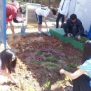 신안해양과학고등학교 이미지