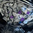 잊지마노래연습장 | 불꽃이 다 시들고 우리가 떨어져도 같이 빛나던 그때 영원히 잊지 마