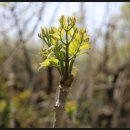 지천농장 이미지