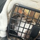 정직한동물의료센터 | 수원시청역 고양이 건강검진 후기 ‘정직한동물의료센터’ / 고양이대기실(펠리웨이 있음)