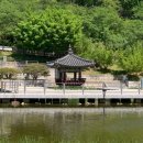 정독도서관 겹벚꽃 수사해당화 북서울꿈의숲 후기