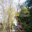 노이민박 이미지