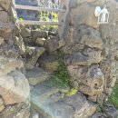 깔롱베케 | 제주도숙소 아이와 함께 가기 좋은 곳 소개해요