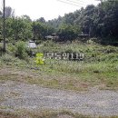 충남 천안시 서북구 입장면 도림리 / 임야 야산, 문중묘지부지 유실수식재용지 사찰용지 수련원부지 전원주택부지 종교시설용지 / 3 이미지