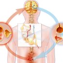 노정형외과의원 이미지