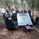 가덕도 동백군락지 이미지