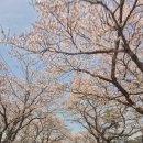 강천힐링스파 | 광주근교 실내수영장, 순창 강천힐링스파 초등학생이랑 방문 후기