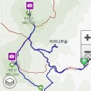 비자림H 이미지