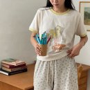 다이아나 이미지