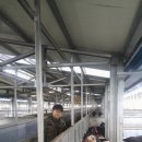 대종농장 이미지