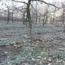 송도로공인중개사사무소 이미지