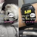 유튜브 인스타 틱톡 1일 1영상 업로드 후기 🎬 조회수 늘리기 팁 ➰ 왕초보 1인 크리에이터