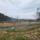 신기리농장 이미지