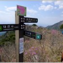 유가사등산로 이미지