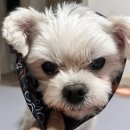 네오스 양양 | 강원도 양양 1박2일 먹고 먹는 여행