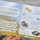 강빛꽃두레협동조합 이미지