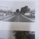 탈렌트 당구장 이미지