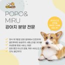 포포 데이케어 이미지